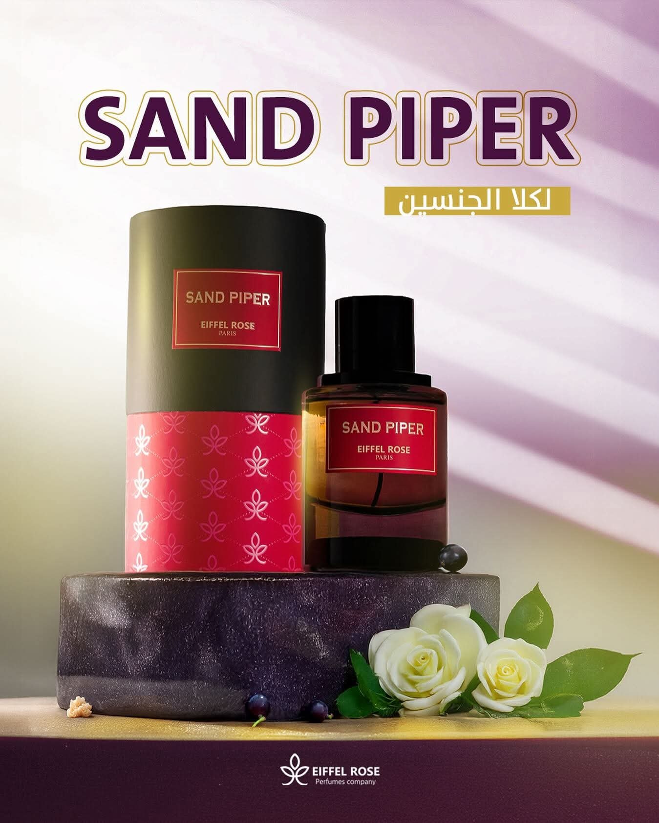  SAND PIPER
