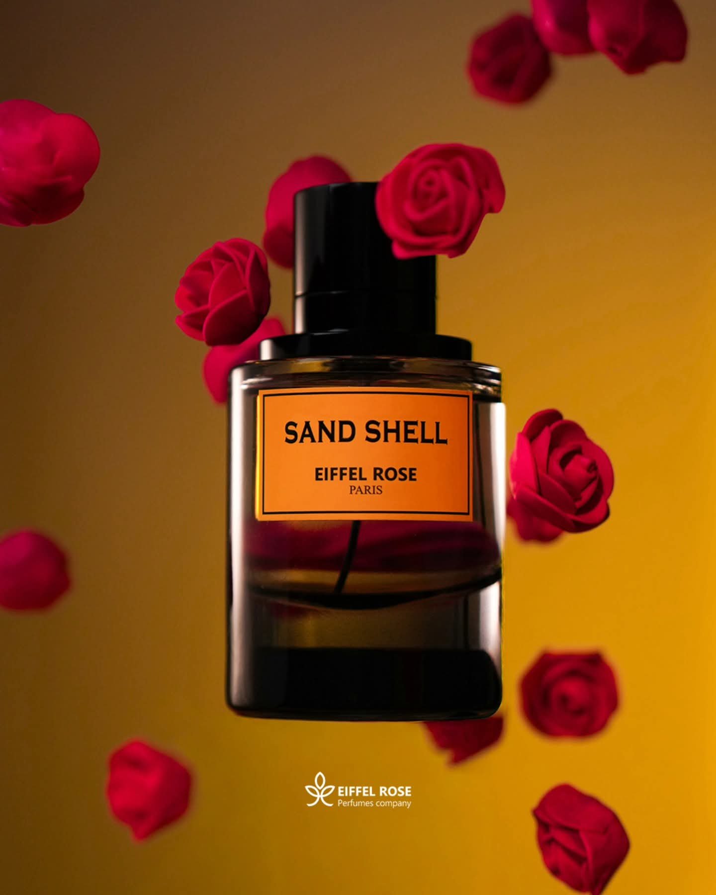 Sand Shell